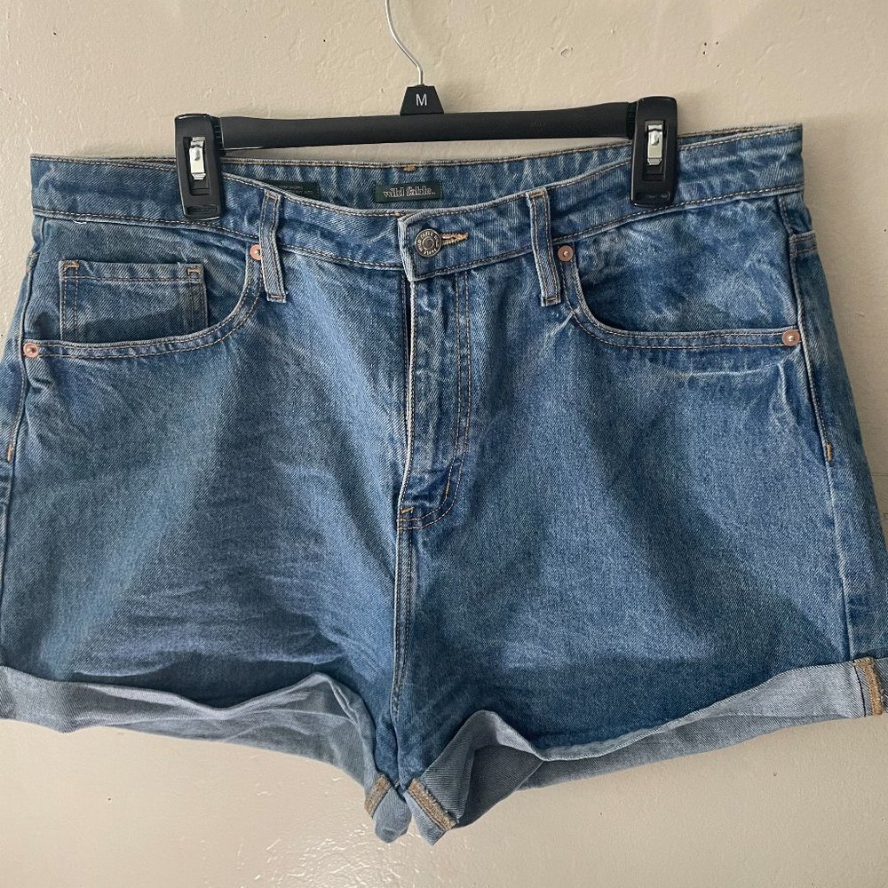 Wild Fable, 16, Blue shorts
